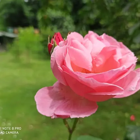 Casa Bibi Vakantiehuis Bergamo