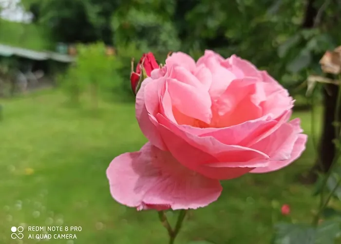 Casa Bibi Prázdninový dům Bergamo